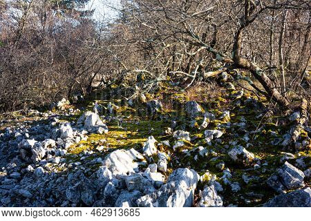 Rock And Trees In The Typical Karst Landscape