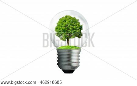 The Bulb Is Located On The Inside With Leaves Forest And The Trees Are In The Light. Concepts Of Env