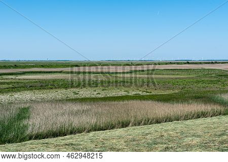 Agriculture Fields And Nature Reserve Landscape With Trees, Grass And Cultivation At The Saeftingepo