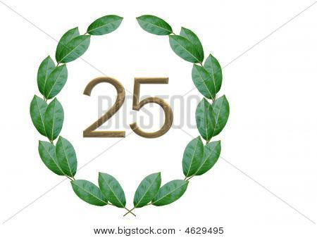 25 周年記念