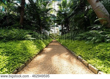 Laeken, Brussels Capital Region - Belgium - 06 06 2021 Interior Design And Cultivation Of Plants In 