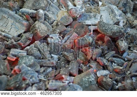 Embers Of Red And Black Color. Many Burning Out Coals Lie Nearby. White Ash Has Already Formed On Th