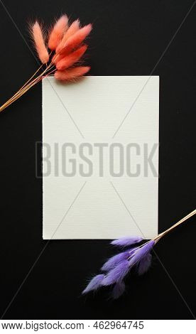 Festive Card Mockup With Two Lagurus Bunnytail Grass Bouquets. Black Background. Corner Frame. Pink 