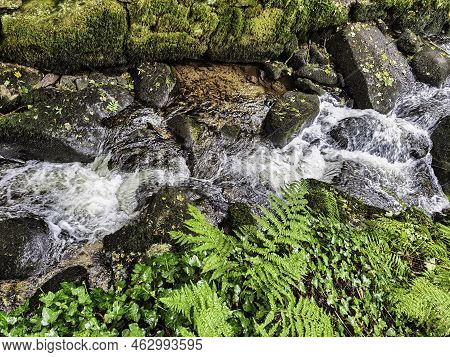 Kennall River In Kennall Vale Nature Reserve, Ponsanooth, Cornwall, United Kingdom