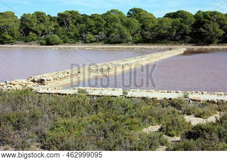 The Natural Reserve Of The Salinas Of Ibiza And Formentera A Spectacle Of The Balearic Islands In Sp