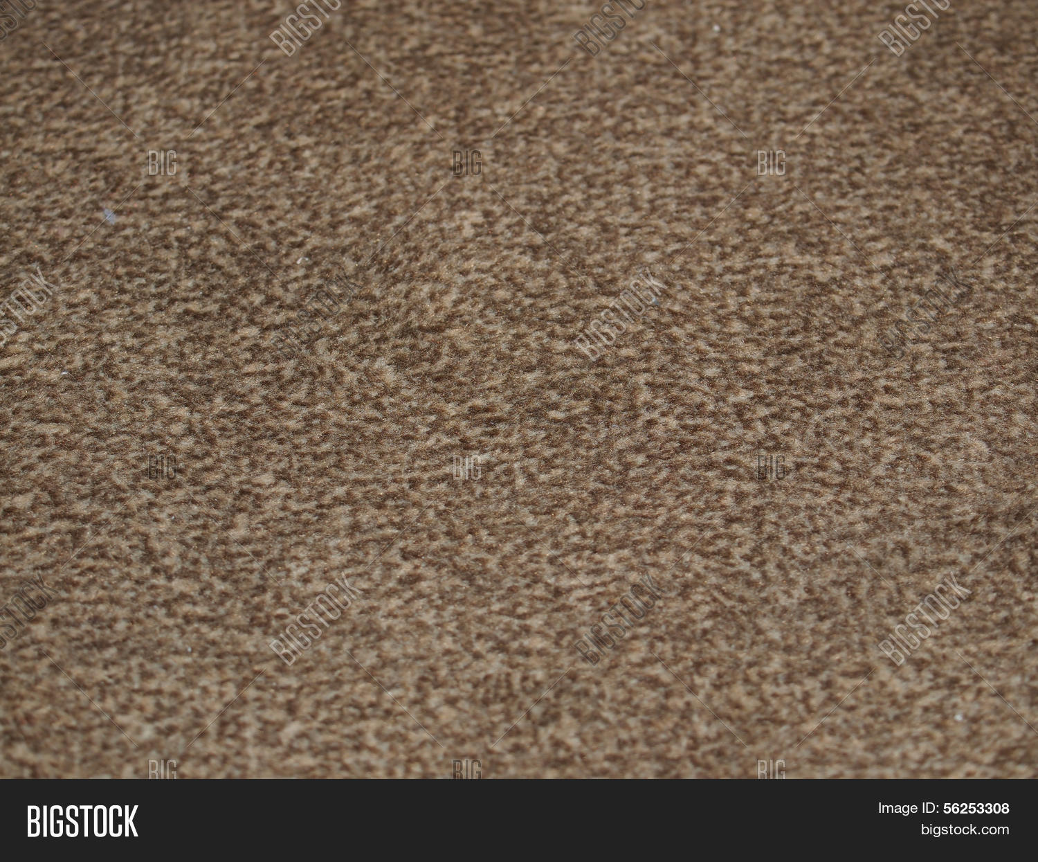 Moquette Fabric Carpet Image & Photo (Free Trial) Bigstock