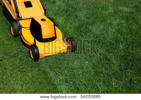 Yellow lawnmower on green grass.
