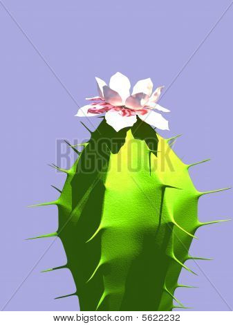 Cactus 3D