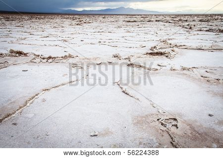 Salt Desert