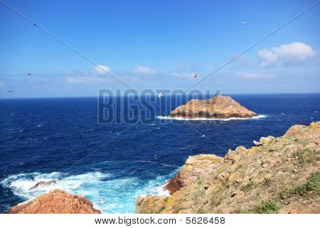 Øen af berlengas i Atlanterhavet.