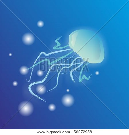 Blue jellyfish
