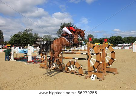 Horse Jumping