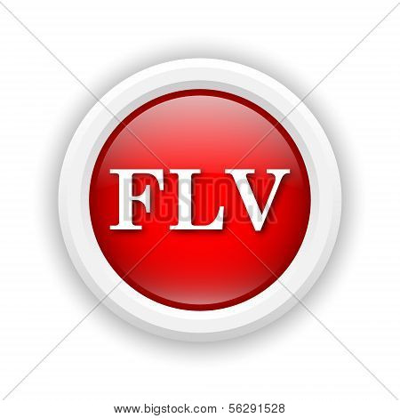 Flv Icon