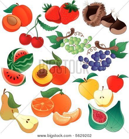 Frutta - illustrazione vettoriale