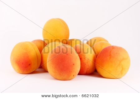 Fresh Riped Apricots