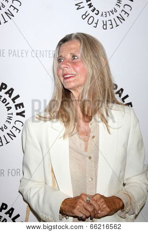 LOS ANGELES - JUN 4:  Jan Smithers at the Baby, If You've Ever Wondered: A WKRP in Cincinnati Reunion at Paley Center For Media on June 4, 2014 in Beverly Hills, CA