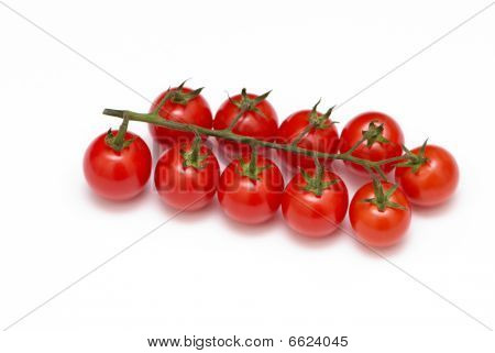 Filial en tomat på en vit bakgrund.