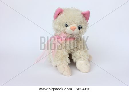 Beautiful White Cat Whit Pink Tie