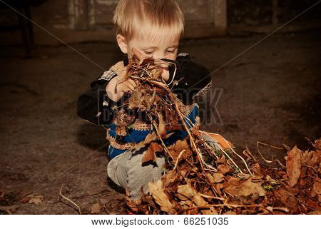 The Boy Cleans Autumn Dry Leaves In The Garden.