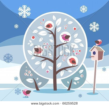 Bird winter