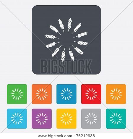 Agricultural sign icon. Gluten free or No gluten