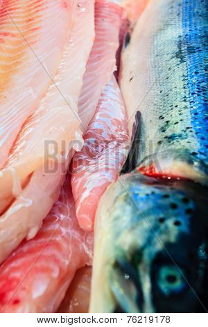 Fishes At Fish Market (fisketorget) In Bergen, Norway