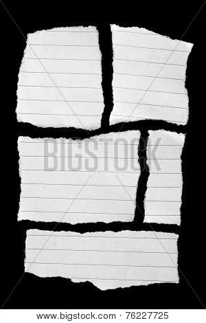 Blank Note Paper Collection