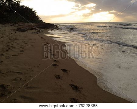 Sunset in the island