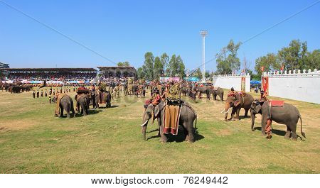 Elephant army prepare to start fighting in Surin Elephant Round-up 2014