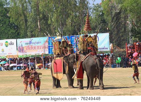 Elephant duel show in Surin Elephant Round-up 2014