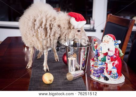 Portrait Of sheep in christmas hat On White