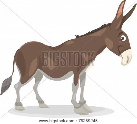 Funny Donkey Cartoon Illustration