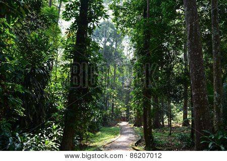 Hidden path