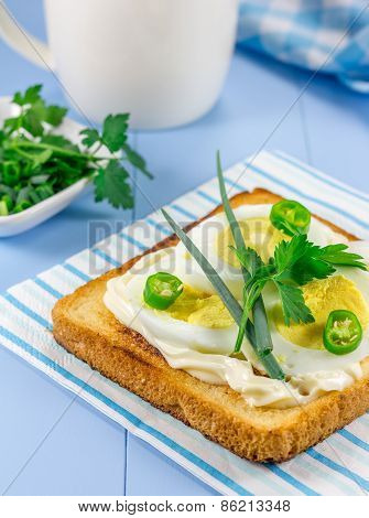 Breakfast Sandwich With Eggs, Parsly, Green Onion And Green Chili Pepper