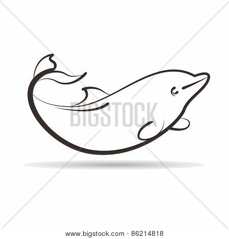 dolphin