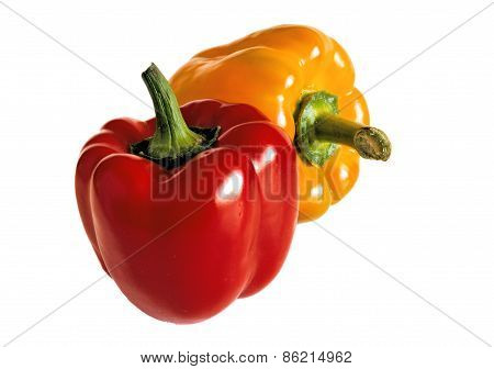 Two Pepper On A White Background.