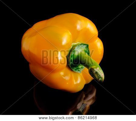 Yellow Pepper On A Black Background.