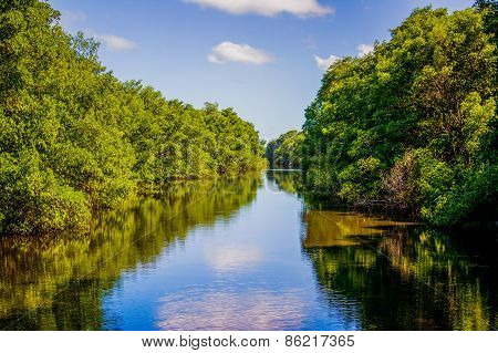 Downstream River