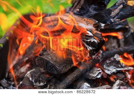Wooden Pyre In Nature