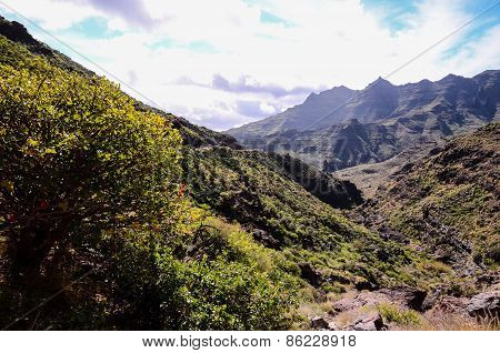 Volcanic Rock Basaltic Formation in Gran Canaria