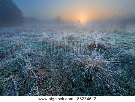 Beautiful Morning With Frost On Plants. Autumnal Landscape.