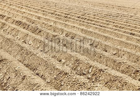 Furrows Abstract