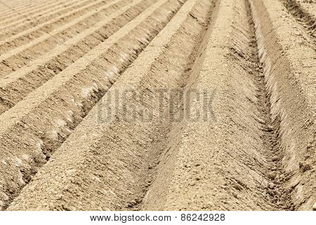 Furrows Abstract