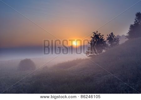 Foggy Morning On Polish Meadow