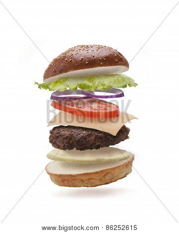 delicious flying burger