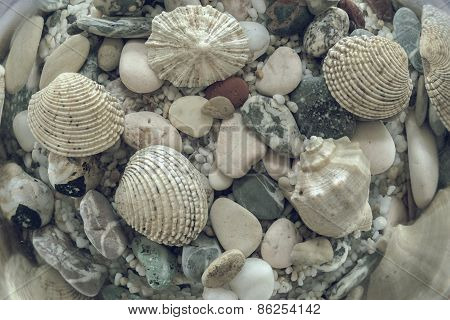 Seabed In Pale Beams Of The Sun