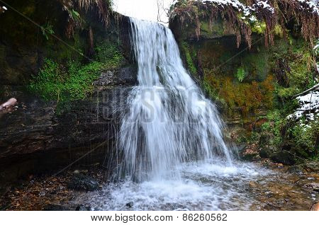 Falls in Forest
