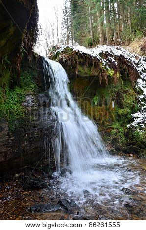 Forest Waterfall
