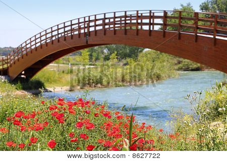 สะพานไม้สีแดงริเวอร์โดว์ดอกไม้ของป๊อบปี้