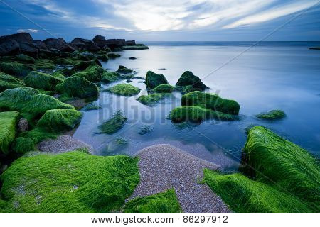 Green Stones in Tel Aviv